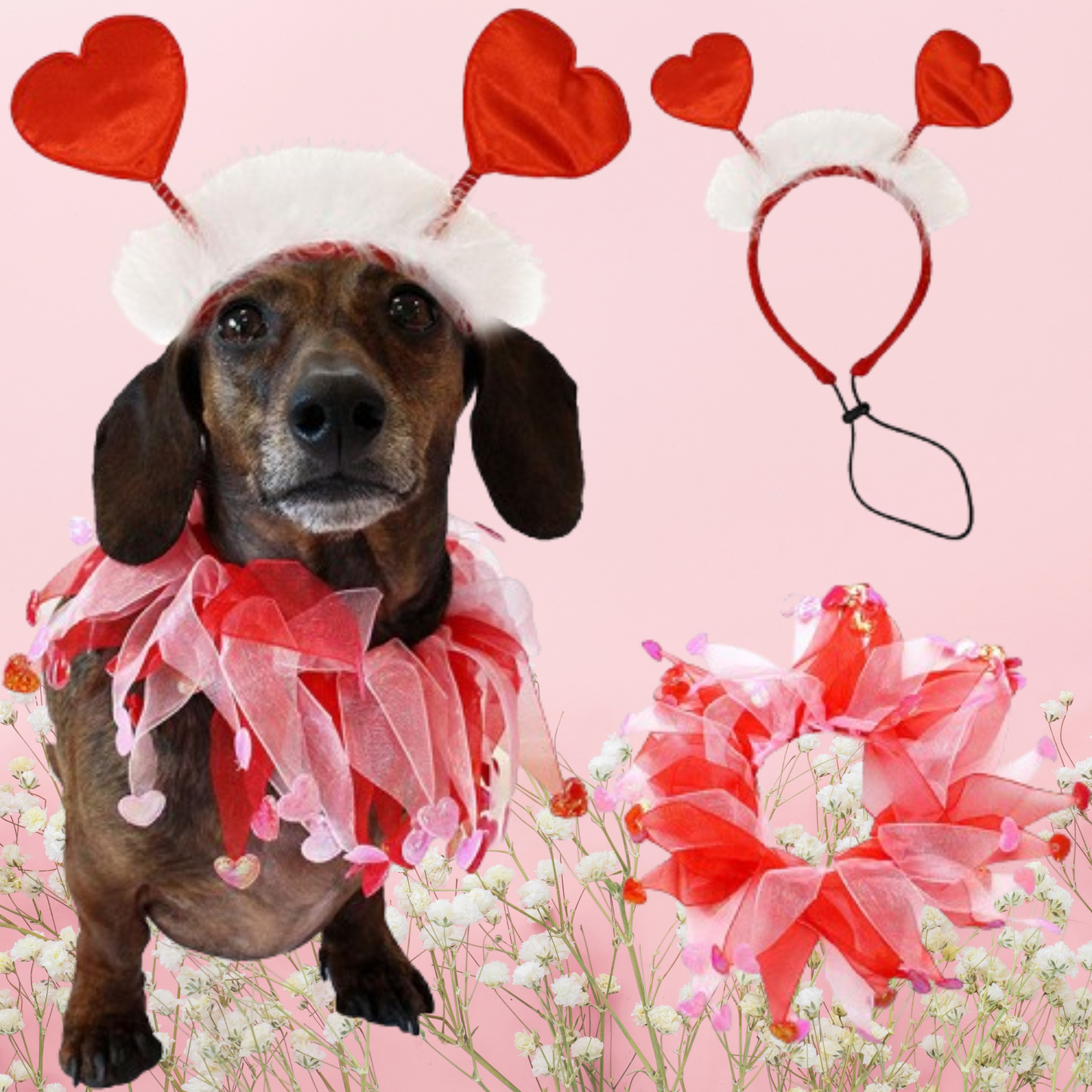 PawLentine